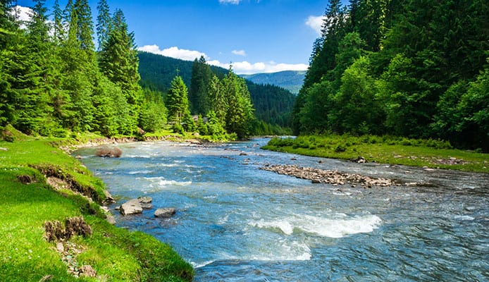 La vitesse des rivières expliquée : à quelle vitesse les rivières coulent-elles ?