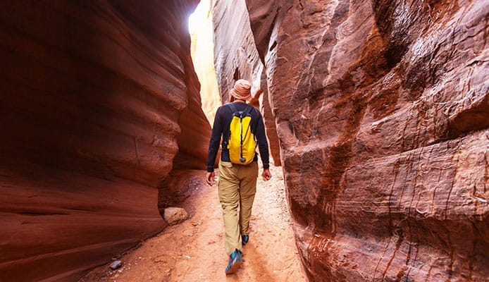 Randonnée dans le désert : Guide du débutant pour la randonnée dans le désert