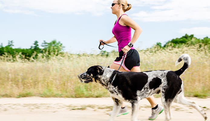 Trail Running avec un chien : voici comment courir avec votre chien