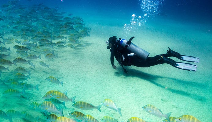 10 meilleurs sites de plongée à Cozumel