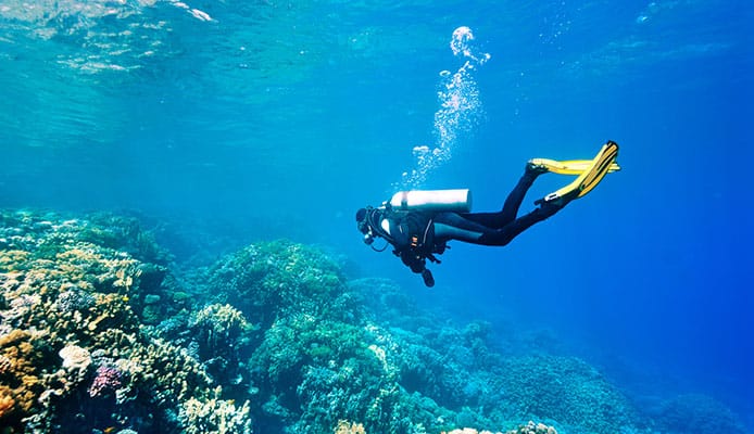10 meilleurs sites de plongée en Inde