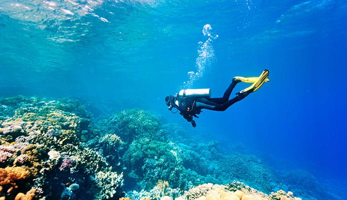 10 meilleurs spots de plongée à Hawaï