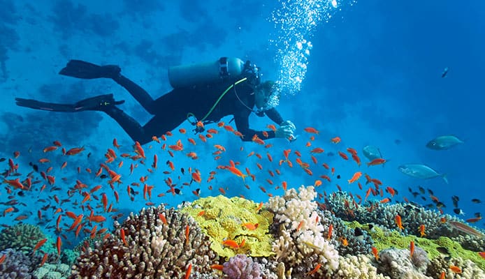 10 meilleurs spots de plongée aux Maldives