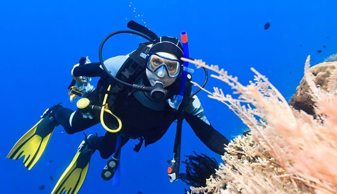 10 meilleurs spots de plongée en mer Rouge, Egypte